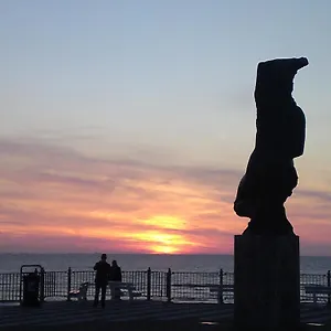 Flamingo , Zandvoort Niederlande